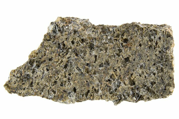 Martian Shergottite Meteorite ( g) Slice - NWA #335337
